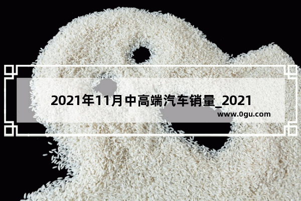 2021年11月中高端汽车销量_2021中国摩托车销量排行榜前十名