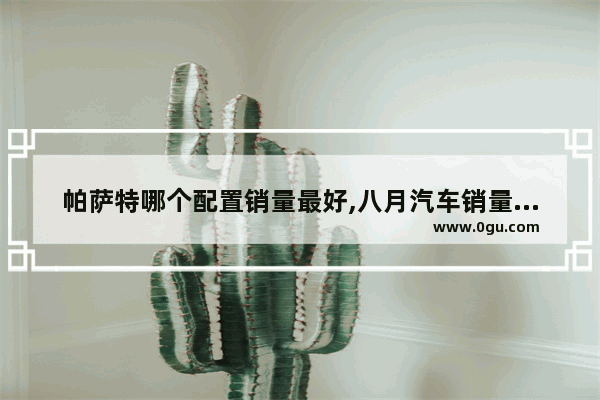 帕萨特哪个配置销量最好,八月汽车销量排行榜帕萨特