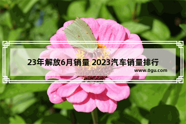 23年解放6月销量 2023汽车销量排行榜最新6月