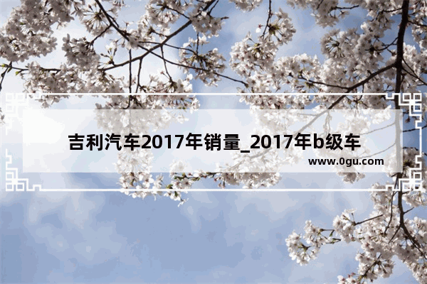 吉利汽车2017年销量_2017年b级车销量冠军