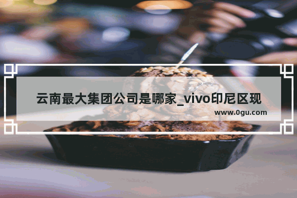 云南最大集团公司是哪家_vivo印尼区现在的总经理