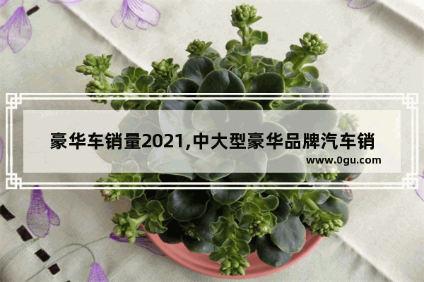 豪华车销量2021,中大型豪华品牌汽车销量