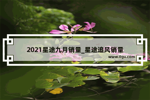 2021星途九月销量_星途追风销量