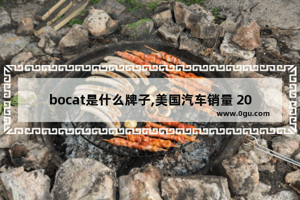 bocat是什么牌子,美国汽车销量 2007年