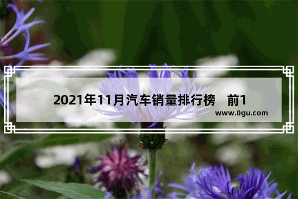 2021年11月汽车销量排行榜   前100_11月轿车销量榜单top15出炉