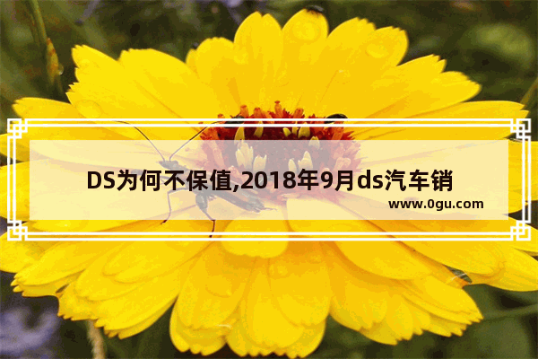 DS为何不保值,2018年9月ds汽车销量