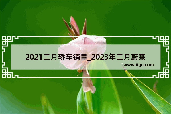 2021二月轿车销量_2023年二月蔚来汽车销量