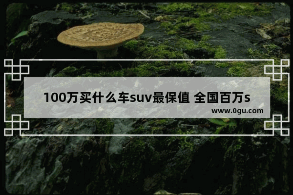 100万买什么车suv最保值 全国百万suv汽车销量