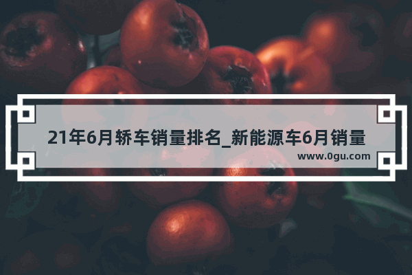 21年6月轿车销量排名_新能源车6月销量排名前十名