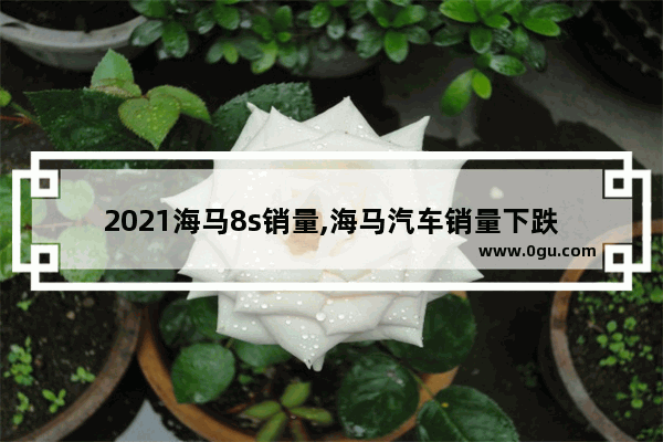 2021海马8s销量,海马汽车销量下跌