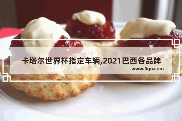 卡塔尔世界杯指定车辆,2021巴西各品牌汽车销量