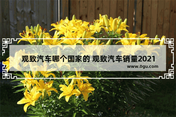 观致汽车哪个国家的 观致汽车销量2021年