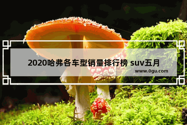 2020哈弗各车型销量排行榜 suv五月汽车销量排行2020