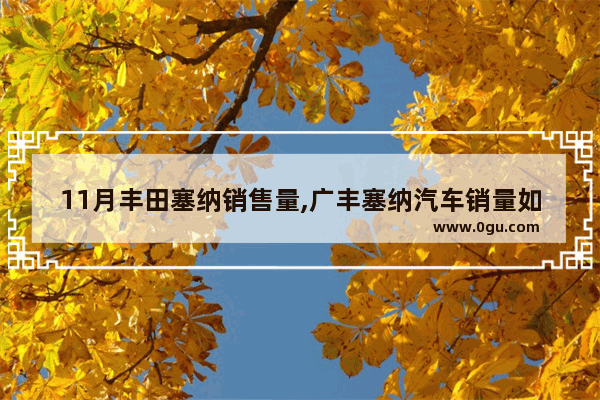 11月丰田塞纳销售量,广丰塞纳汽车销量如何啊