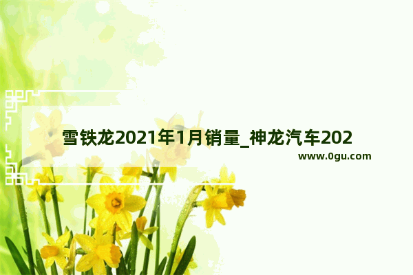 雪铁龙2021年1月销量_神龙汽车2020年1月销量