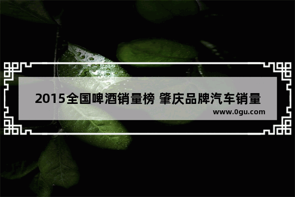 2015全国啤酒销量榜 肇庆品牌汽车销量排行