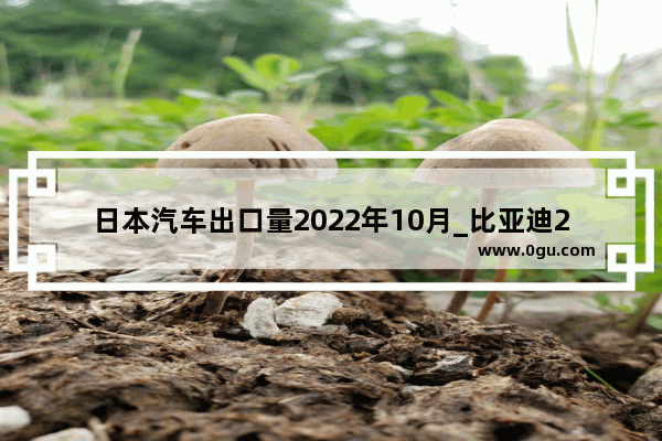 日本汽车出口量2022年10月_比亚迪2022年在日本的销量