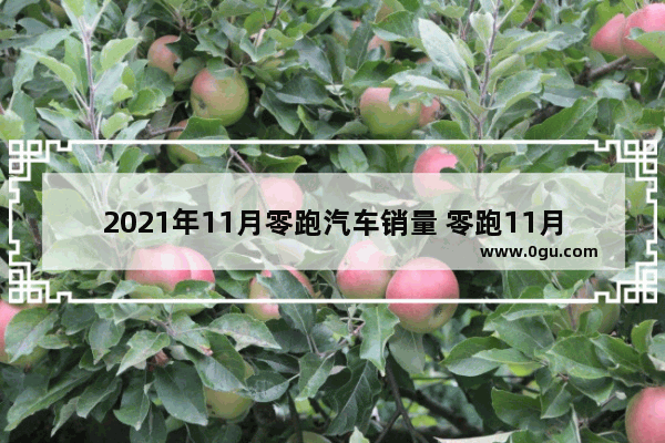 2021年11月零跑汽车销量 零跑11月汽车销量