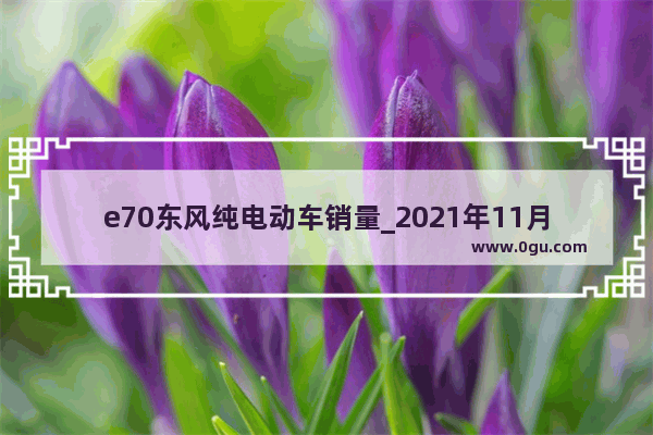 e70东风纯电动车销量_2021年11月各车企销量