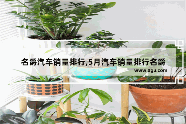 名爵汽车销量排行,5月汽车销量排行名爵