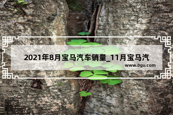 2021年8月宝马汽车销量_11月宝马汽车销量排行榜