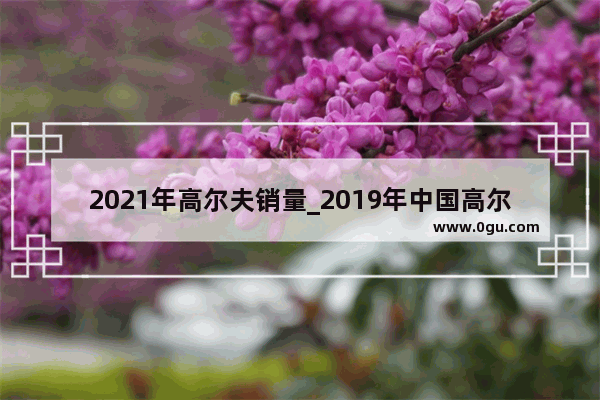 2021年高尔夫销量_2019年中国高尔夫销量