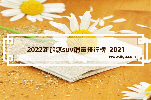 2022新能源suv销量排行榜_2021十一月新能源suv销量排行榜