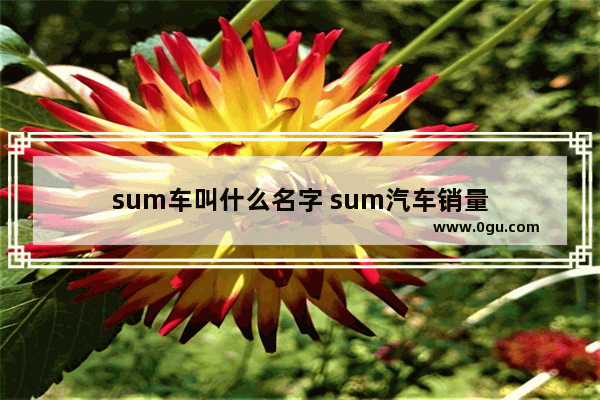 sum车叫什么名字 sum汽车销量