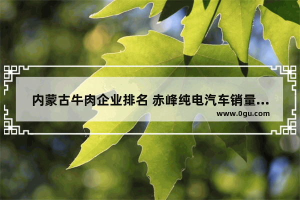 内蒙古牛肉企业排名 赤峰纯电汽车销量排行榜