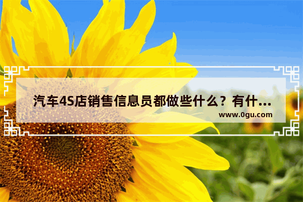 汽车4S店销售信息员都做些什么？有什么升值空间,汽车销量任务制定