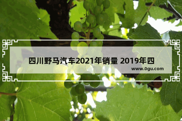 四川野马汽车2021年销量 2019年四川省汽车销量