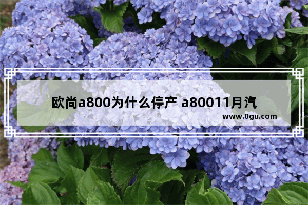 欧尚a800为什么停产 a80011月汽车销量