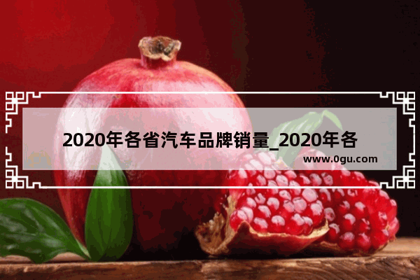 2020年各省汽车品牌销量_2020年各省汽车销量排行榜