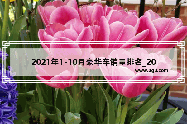 2021年1-10月豪华车销量排名_2021年中国汽车销量排行榜前十名品牌