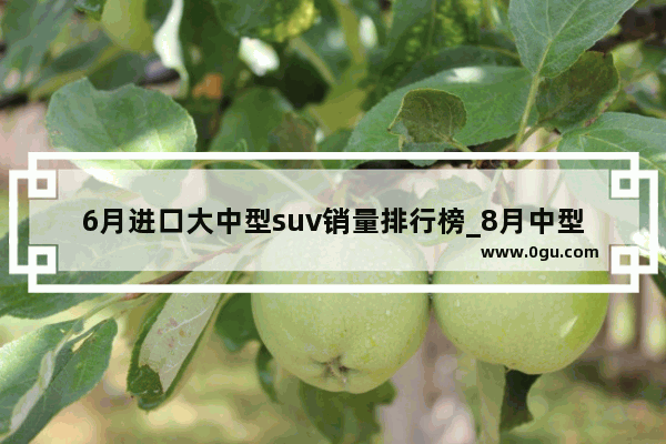 6月进口大中型suv销量排行榜_8月中型suv销量排名前十名