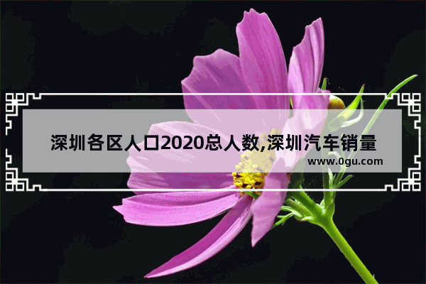 深圳各区人口2020总人数,深圳汽车销量 2020