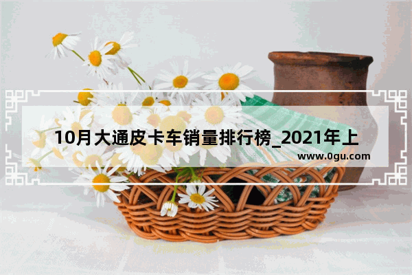 10月大通皮卡车销量排行榜_2021年上半年大通皮卡销量排行