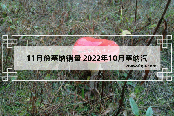 11月份塞纳销量 2022年10月塞纳汽车销量