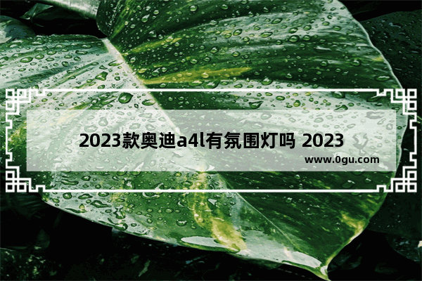 2023款奥迪a4l有氛围灯吗 2023年奥迪汽车销量