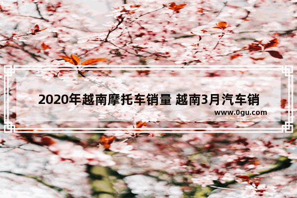 2020年越南摩托车销量 越南3月汽车销量