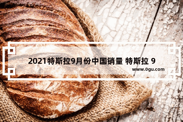 2021特斯拉9月份中国销量 特斯拉 9 月汽车销量