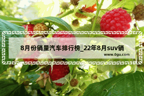 8月份销量汽车排行榜_22年8月suv销量排行榜