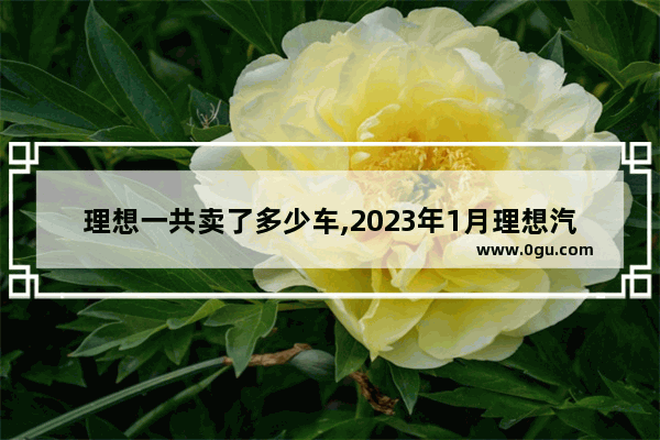 理想一共卖了多少车,2023年1月理想汽车销量