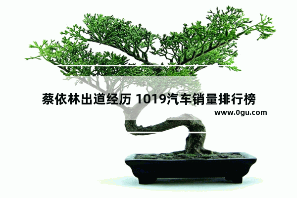 蔡依林出道经历 1019汽车销量排行榜