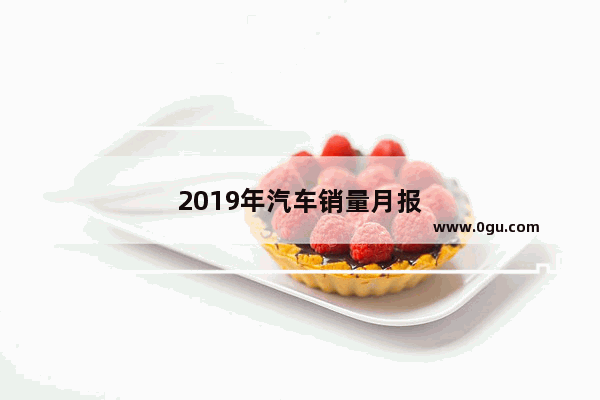 2019年汽车销量月报