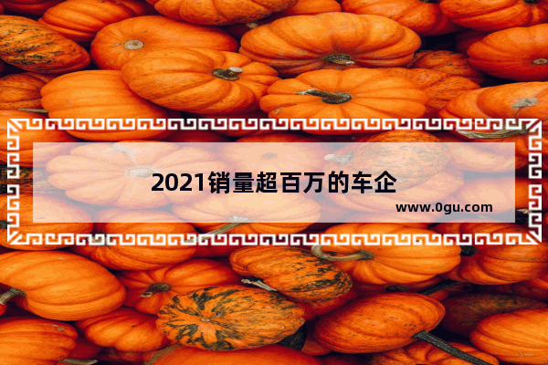 2021销量超百万的车企