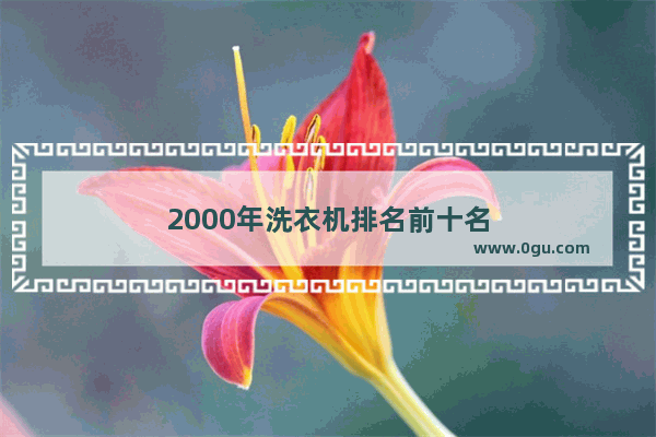 2000年洗衣机排名前十名