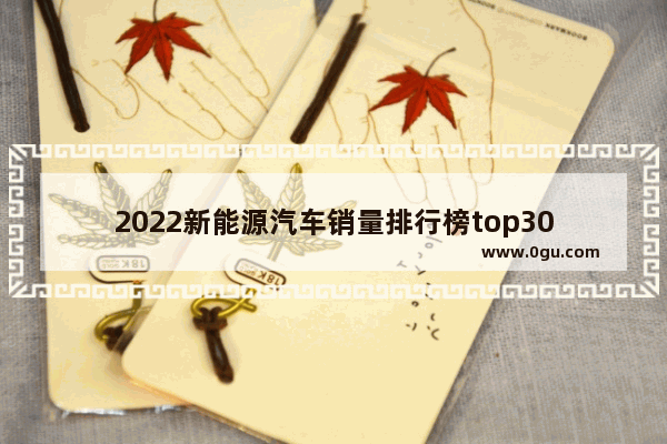 2022新能源汽车销量排行榜top30