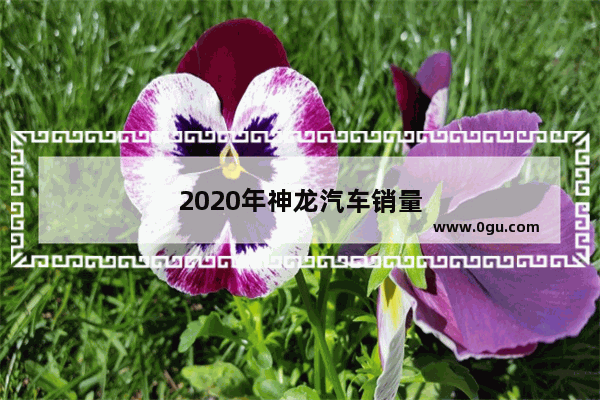 2020年神龙汽车销量