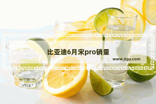 比亚迪6月宋pro销量